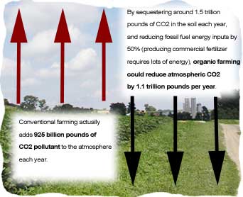 carbon sequestratioon image 1