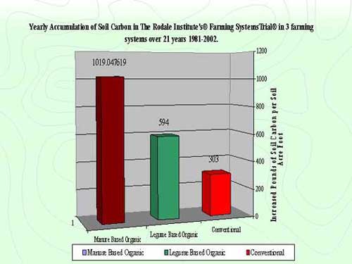carbonsoil carbonsoil