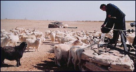 20080318-desertification Julie Chaol